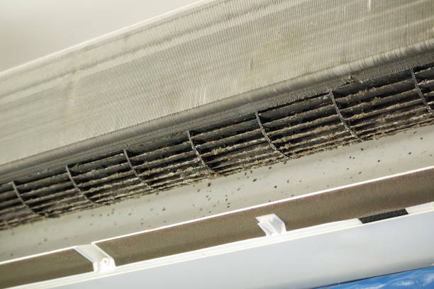 Best Affordable Duct Cleaning Services  in El Portal, FL